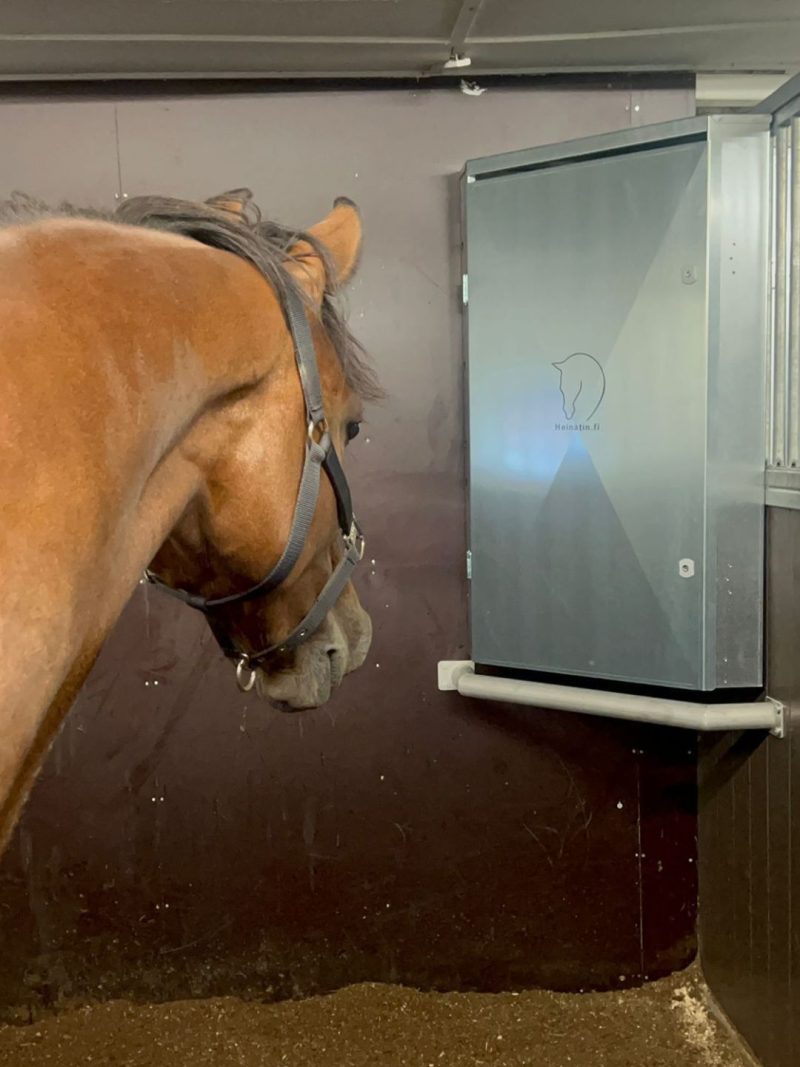 Indoor 600 in the stall